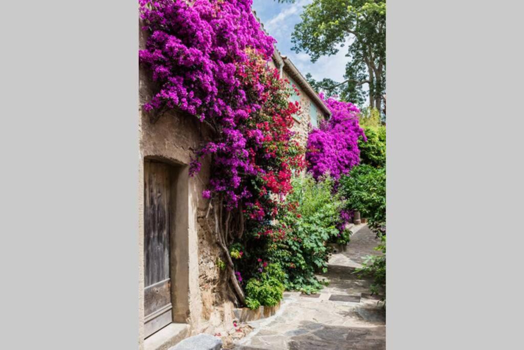 Coquet 2 Pieces Coeur Vieil Antibes Apartman Kültér fotó